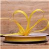 Order  Basics 2 Go Grosgrain Ribbon - 6mm Daffodil